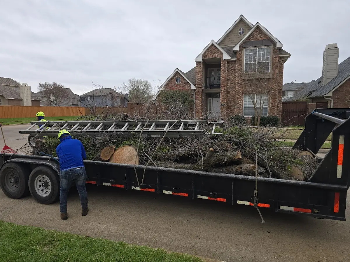 Expert Lot Clearing with proper safety equipment in Tallmansville